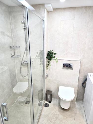One-Bedroom Family Apartment image 10