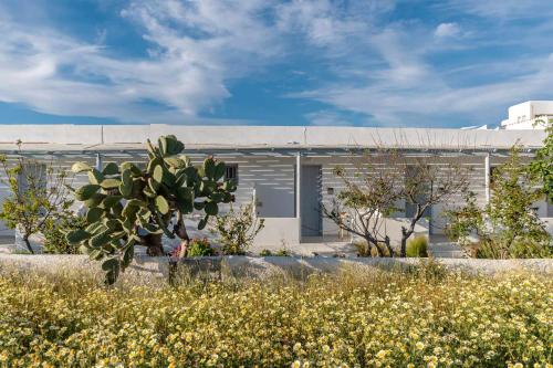 Naxos Beachwalk Rooms