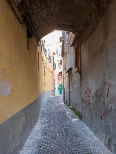 Citrus Garden House - Stylish Apt by the center Citrus Garden House - Stylish Apt by the center