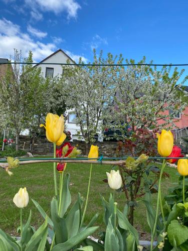 Apartment an der Mosel 2