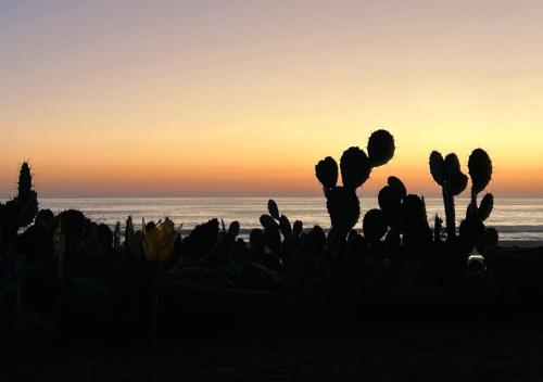 Oceanfront Villa in Puerto Escondido, exclusive, Spectacular sunsets!