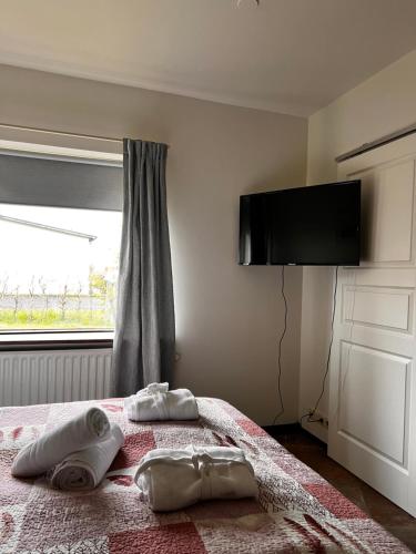 Hotel Skogar - image 14