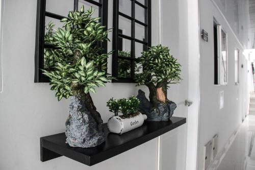 VALASIUK Sede San Fernando