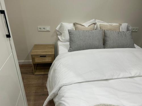 Pintor Espinosa 3 loft