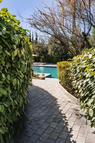 Du Côté Des Olivades - image 11