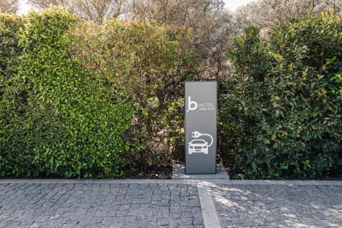 Du Côté Des Olivades - image 3