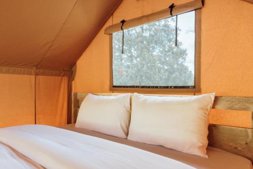 Roaring River Luxury Safari Tent #12 XX in Cassville, USA