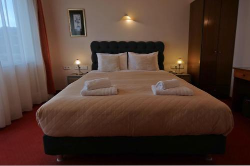 Hotel Excelsior 5