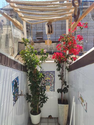 Acasadelpescatore Bed and Breakfast 3
