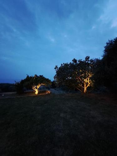 rizoma, Preveza (fotografie 8)