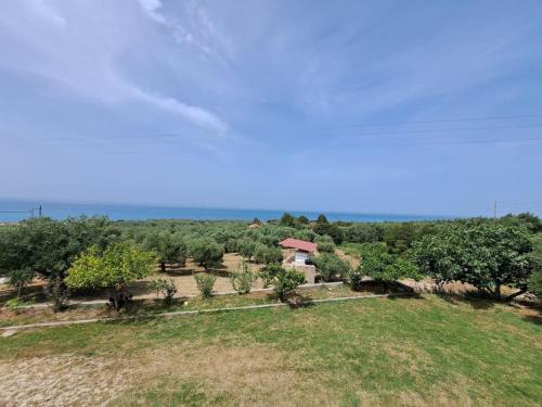 rizoma, Preveza (fotografie 3)