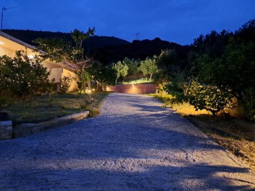 rizoma, Preveza (fotografie 7)