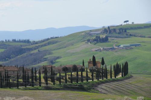 Holistic Tuscan Experience