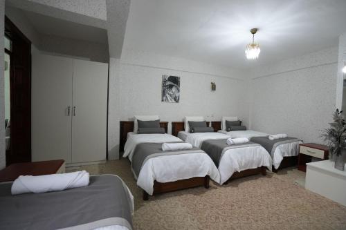 OzenTurku Hotel, باموكالي