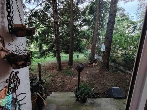 منظر, Alex in Rakovica