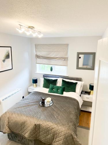 Beautiful apartment in Beckton with Private Entrance and Garden, Londýn (fotografie 9)