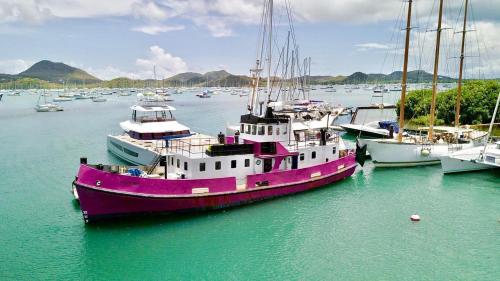 Bateau d'hôtes avec espace privatif à quai Hotel Insolite le Marin Martinique en Demi pension 3 Cabines & 2 Salles de bains 8 pers max animaux vivant à bord 2 chats et une chienne et proprio - Hôtel - Le Marin