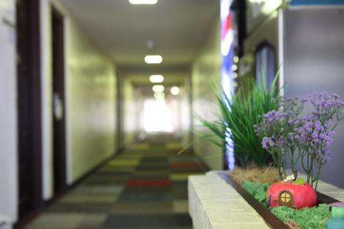 Arcadia Hotel - image 6