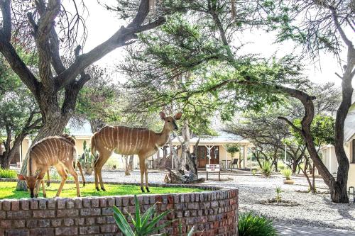 المنظر الخارجي, Otjibamba Lodge in أوتجيوارونجو