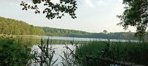 Försterhaus am Linowsee