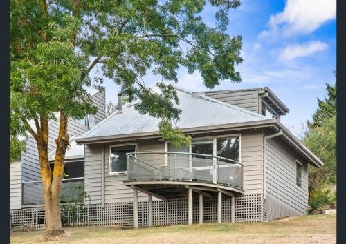 Netflix Studio #5 │ King+Bunks │ Pool & Bus Buller Room Type - Family Two-Bedroom Apartment with View