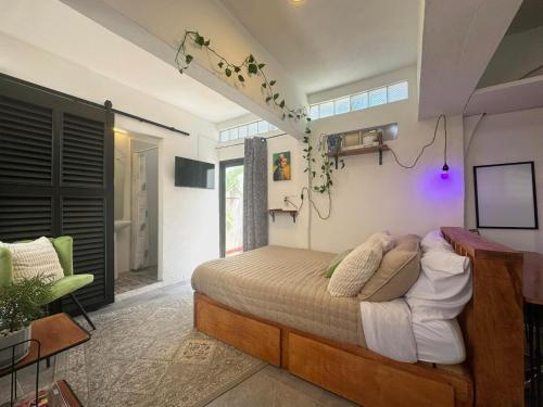 Studio Paloma - Zona Romantica in Puerto Vallarta, Mexico