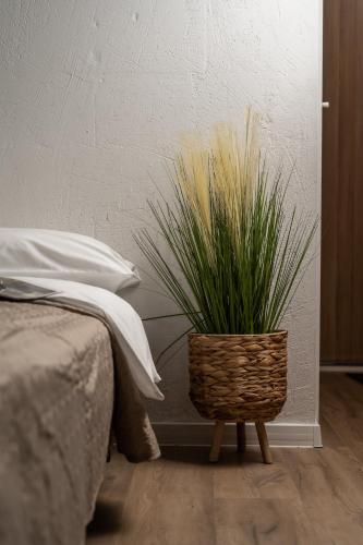 Air Apartment 119