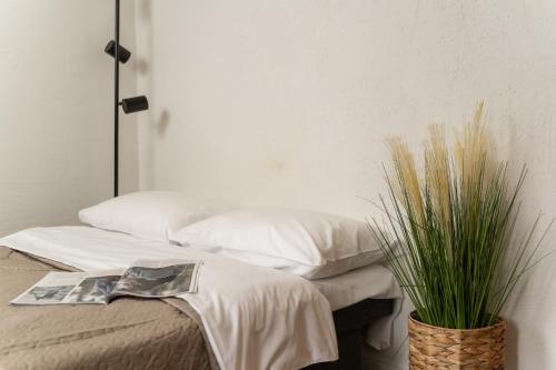 Air Apartment 301