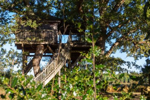 Cabane spa - Chambre d'hôtes - Rion-des-Landes