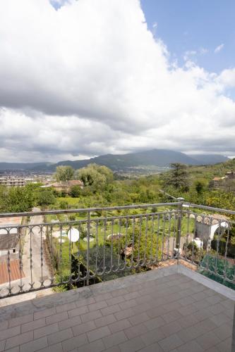  Orchidea in Baronissi