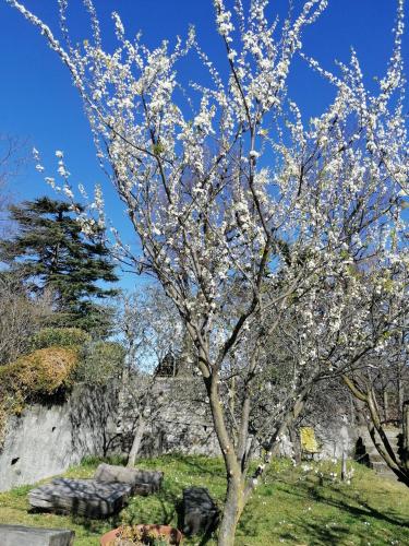 Casa della Gioia - Appartamento Due Balconi