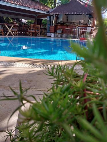 Jasmin Apart - image 10