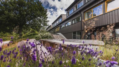 Ansgar Summerhotel Room Type - Studio Apartment