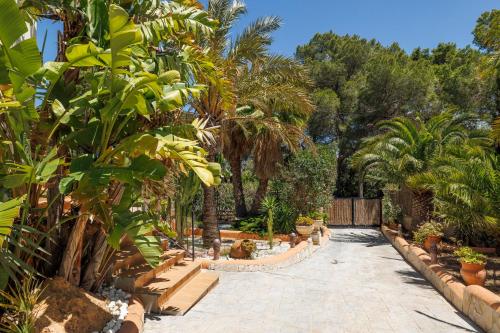 VILLA ES VEDRÁ - image 9