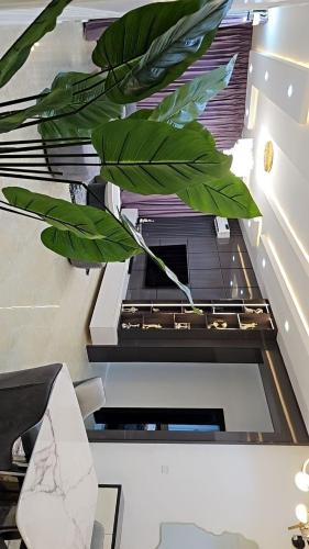 Three-Bedroom Apartment image 8