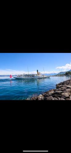 Appartement Léman - Location saisonnière - Évian-les-Bains