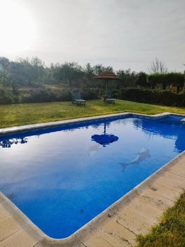 Casa Rural Vista Bella, Ronda (foto 3)