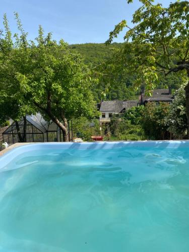 花園, Pension mit Moselblick in 克洛滕
