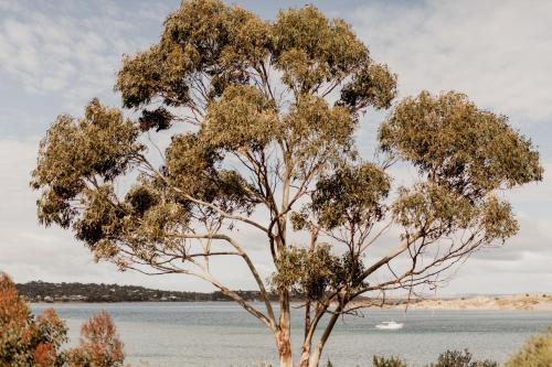 Seagrass Coastal Retreat with direct beach access