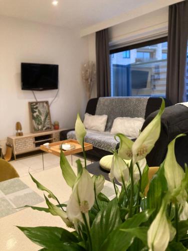 DUNAS, appartement, garage, 200m van strand en centrum