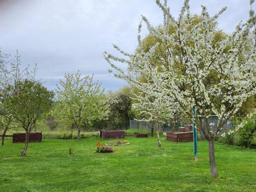 Ferienhaus Naturpur Chorin