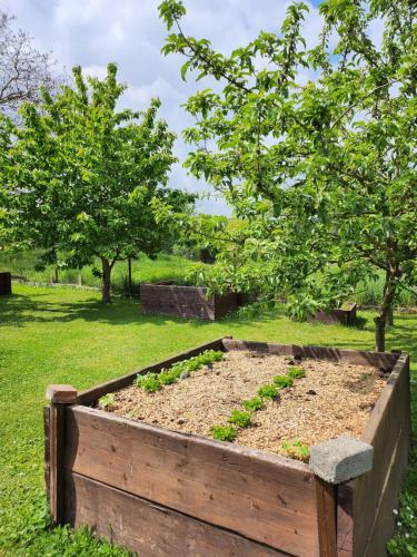 Ferienhaus Naturpur Chorin