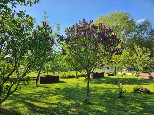 Ferienhaus Naturpur Chorin