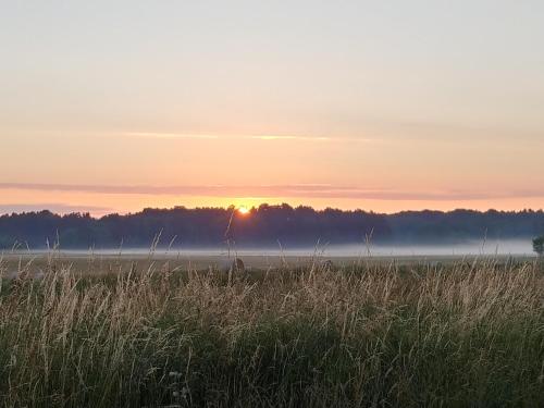 Ferienhaus Naturpur Chorin