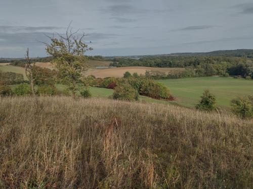 Ferienhaus Naturpur Chorin