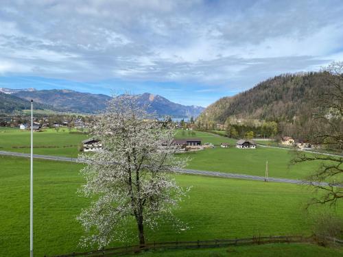 Seeblick 219, Strobl (foto 3)