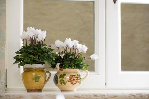 Vila Katharina - image 10