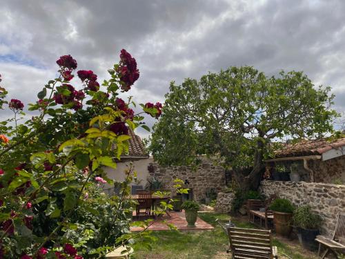 Casa Bohême (Casa Boheme) in Caunes-Minervois