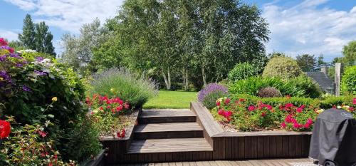 Le Dy en fleurs - Location saisonnière - Saint-Maurice-en-Cotentin