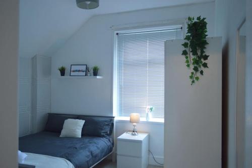 Cosy Two Bedroom Apartment - Tap to explore photos